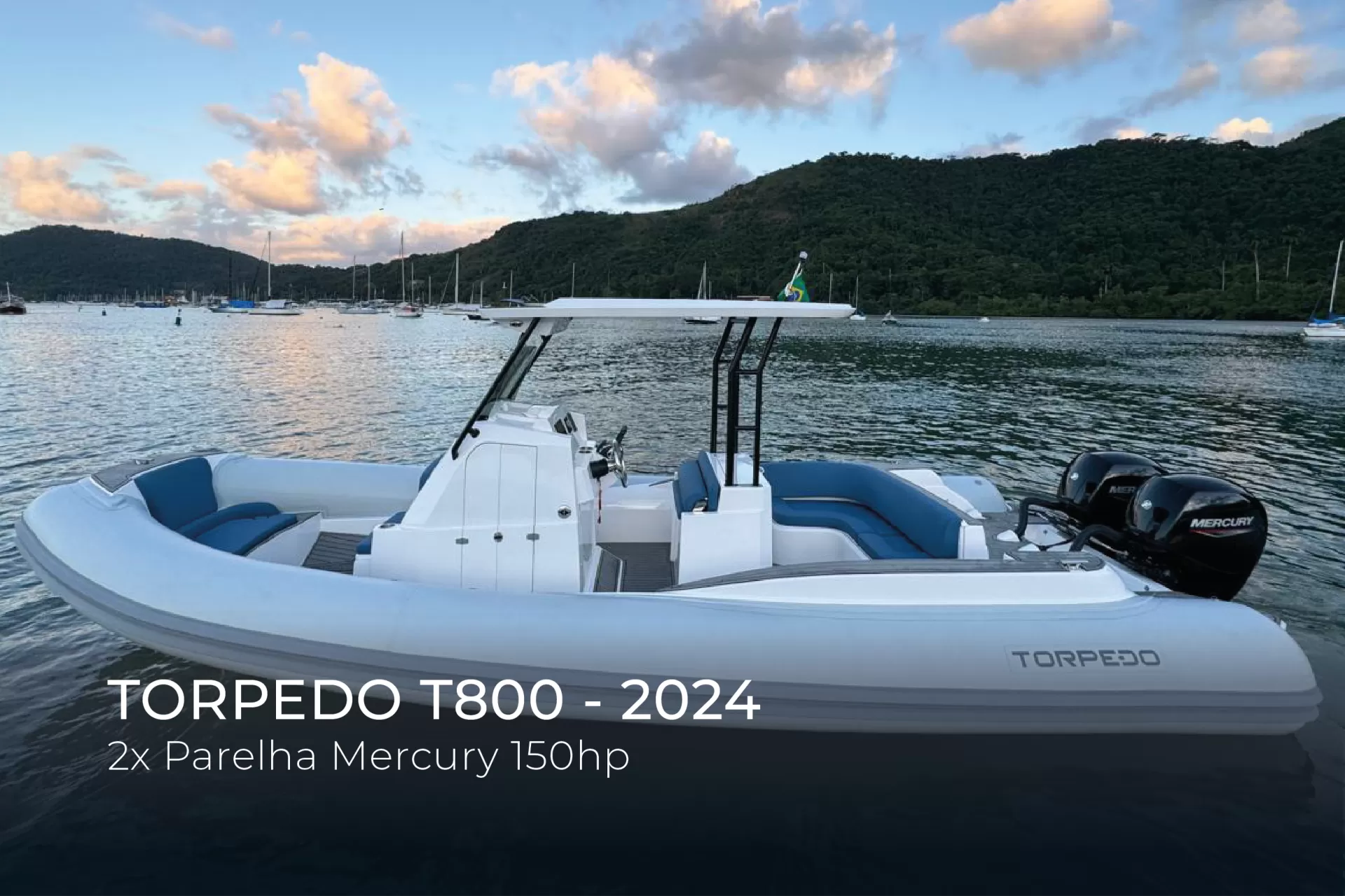 Torpedo - T800