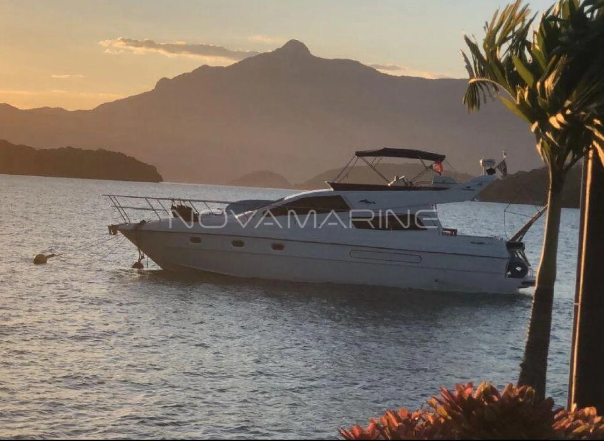 Intermarine - 440 Full Gold